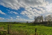 Is your pasture ready for a drought? pasture