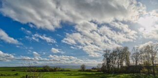 Is your pasture ready for a drought? pasture