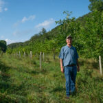 Tree farmer wins Ohio Tree Farm of the Year award for restoring former strip mines Reclaimed Tree Farm