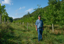 Tree farmer wins Ohio Tree Farm of the Year award for restoring former strip mines Reclaimed Tree Farm