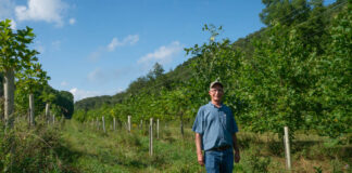 Tree farmer wins Ohio Tree Farm of the Year award for restoring former strip mines Reclaimed Tree Farm