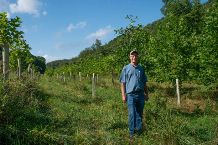 rob in a field of trees Reclaimed Tree Farm