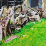 Creating creature comforts for the creatures stump fence