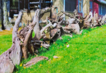 Creating creature comforts for the creatures stump fence