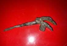 Can you identify Item No. 1276? Item No. 1276