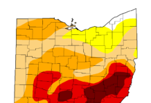 Brown: Political gridlock won’t derail drought relief for Ohio farmers
