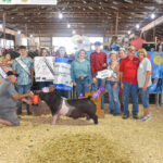 2024 Noble County Junior Fair Sale