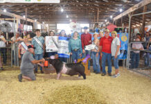 2024 Noble County Junior Fair Sale
