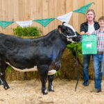 2024 Mercer County (PA) 4-H Livestock Sale of Champions