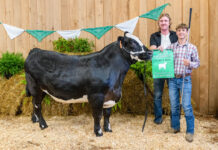 2024 Mercer County (PA) 4-H Livestock Sale of Champions