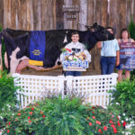 2024 Venango County (PA) Fair Junior Livestock Auction