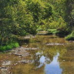 Rain, rain, come again! blanchard river