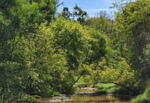 Rain, rain, come again! blanchard river