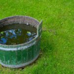 Bellies, buckets and blazes bucket