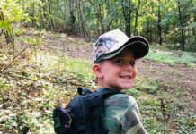 Squirrels, kids, dogs and dads gray squirrel luke turner