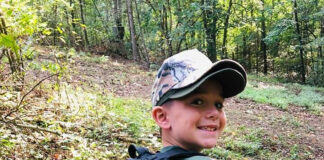 Squirrels, kids, dogs and dads gray squirrel luke turner