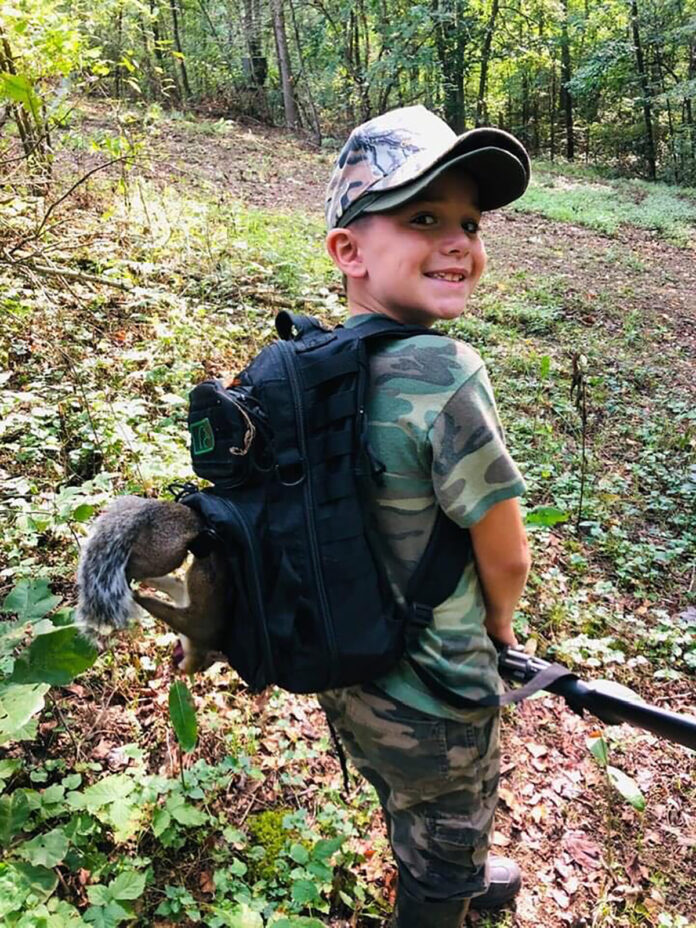 gray squirrel luke turner gray squirrel luke turner