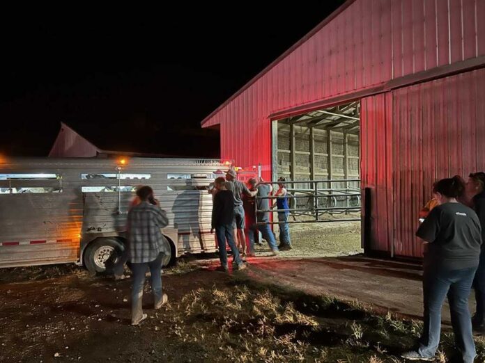 Comp Dairy Farm Comp Dairy Farm