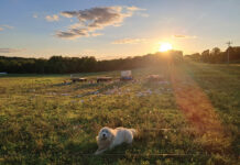 Licking County couple makes it work with farm, off-farm jobs