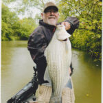 Record-breaking hybrid striped bass certified in Ohio Larry Powers