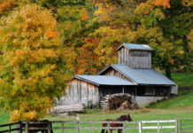 The science of autumn Sugarhouse