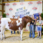2024 Guernsey County Junior Fair Sale