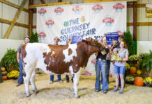 2024 Guernsey County Junior Fair Sale