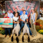 Delaware County Junior Fair Sale