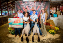 Delaware County Junior Fair Sale