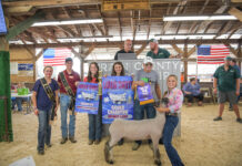 2024 Lorain County Junior Fair Sale