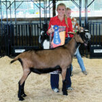 Roundup of FFA news for Oct. 17, 2024