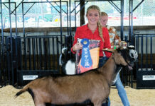 Roundup of FFA news for Oct. 17, 2024