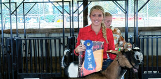 Roundup of FFA news for Oct. 17, 2024