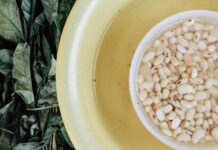 Planning for the future by learning from the past white beans in yellow bowl