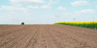 a plowed field with power lines in the distance