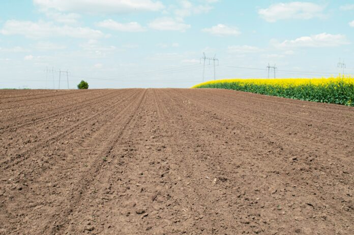a plowed field with power lines in the distance