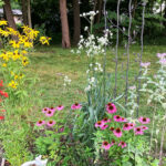 Backyard conservation: Now’s the time to GROW for it!