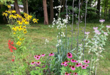 Backyard conservation: Now’s the time to GROW for it!