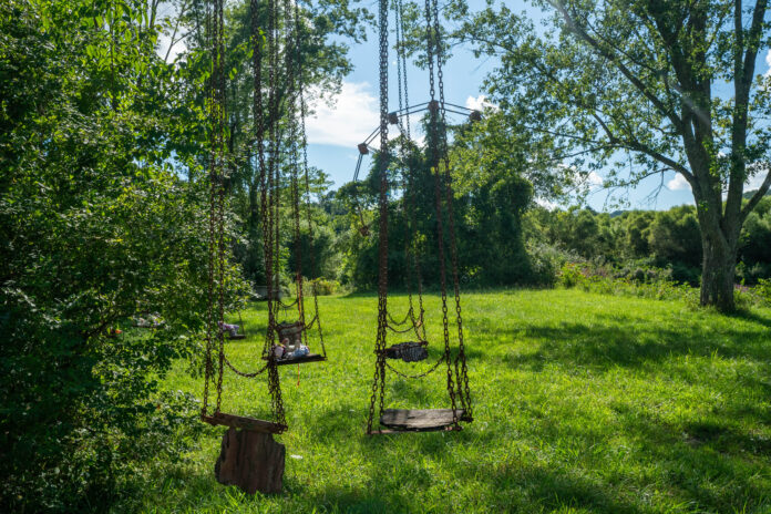 swings again Lake Shawnee