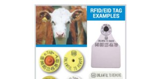Animal disease traceability rule set to take effect