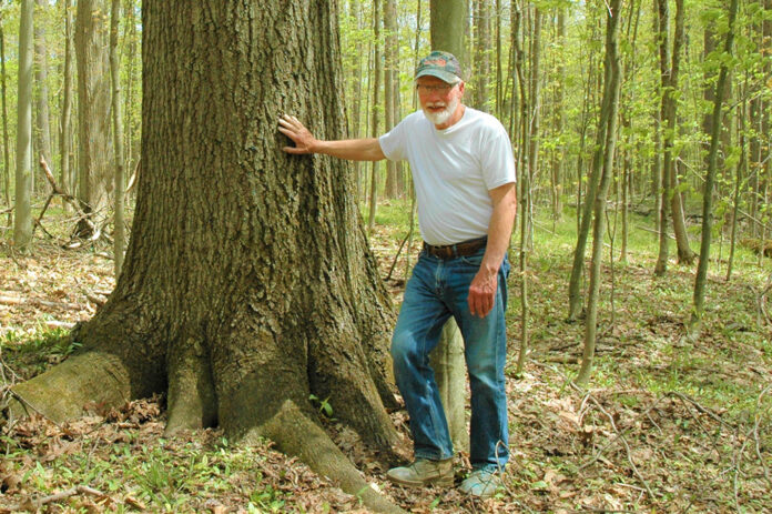 Troy Firth Troy Firth