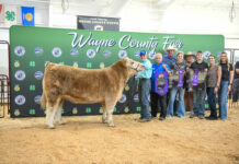 2024 Wayne County Junior Fair Sale results