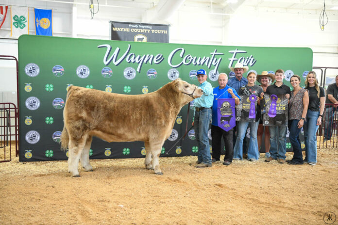 GRAND CHAMPION BEEF STEER: OWEN BAILEY