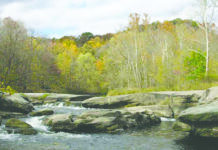 Reconnaissance is never wasted beaver creek