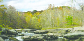 Reconnaissance is never wasted beaver creek