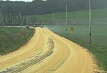 Corn spill on State Route 668 creates temporary hazard