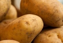 One potato, two potato, three potato, 400 potatoes potatoes