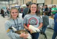 Youth turnout grows at 2024 Ohio National Poultry Show poultry hawk