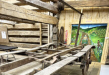 By hook or by crook, the wheat harvest was accomplished with intensive labor shock wagon