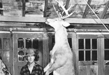 Whitetail deer: The epitome of dead weight the hinckley buck
